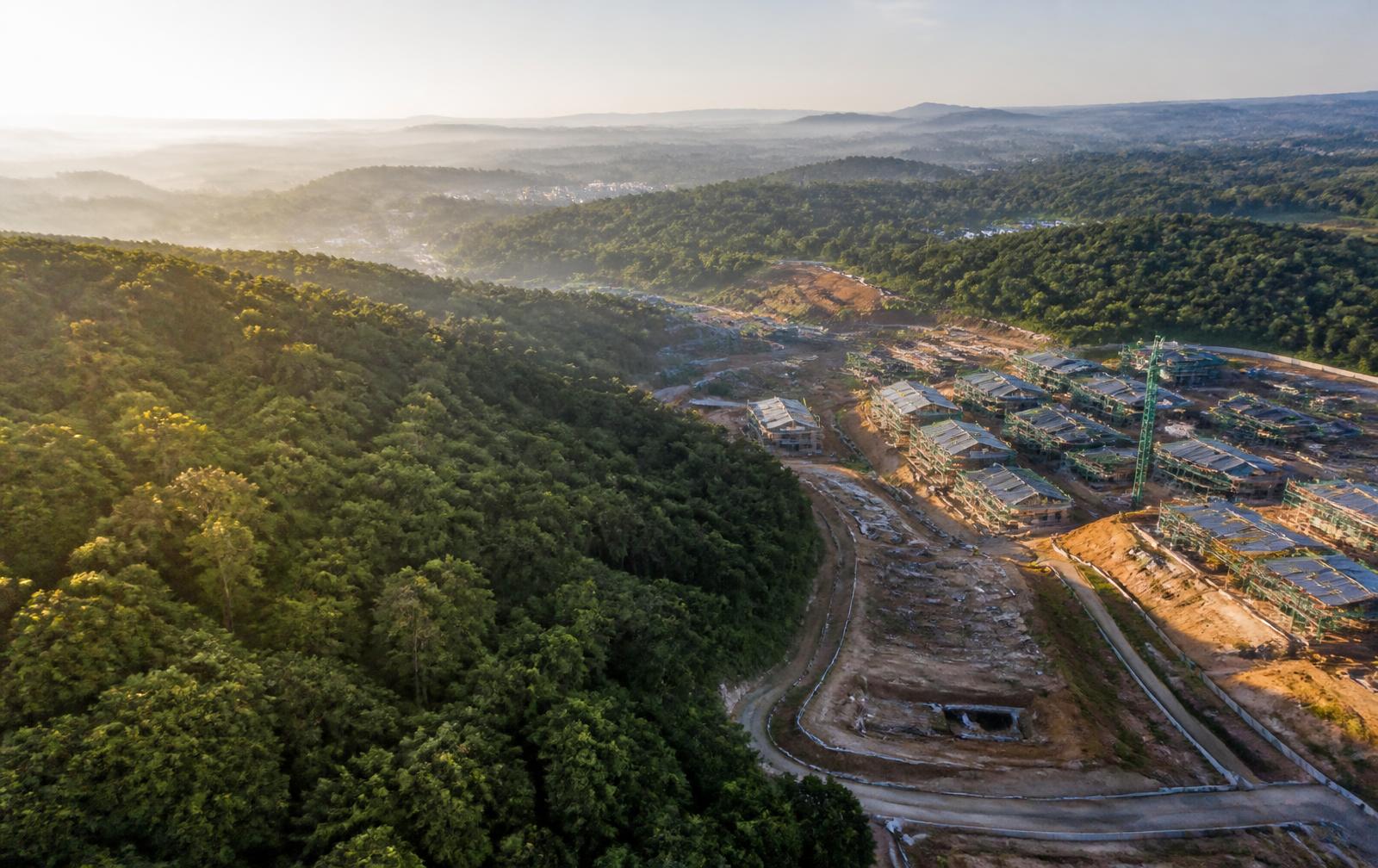 Vista aérea de un bosque junto a un desarrollo de construcción sostenible